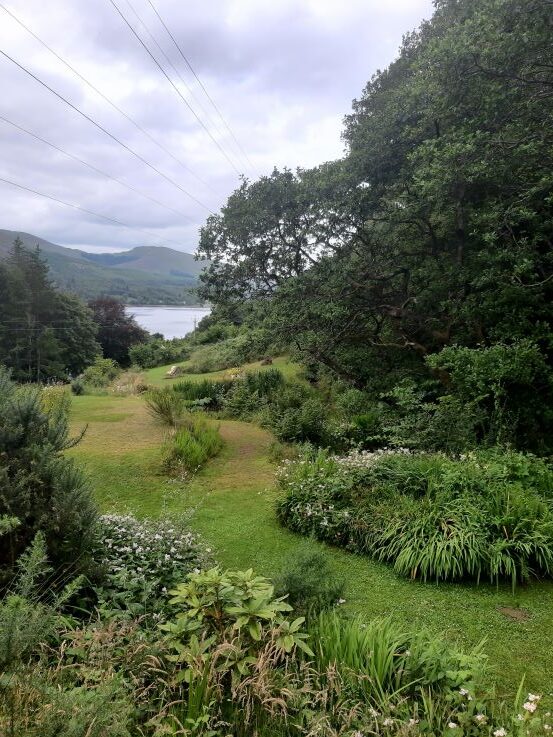 view from top of garden