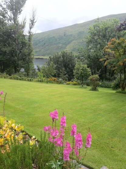 July in the garden